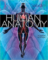 Human anatomy, fourth edition